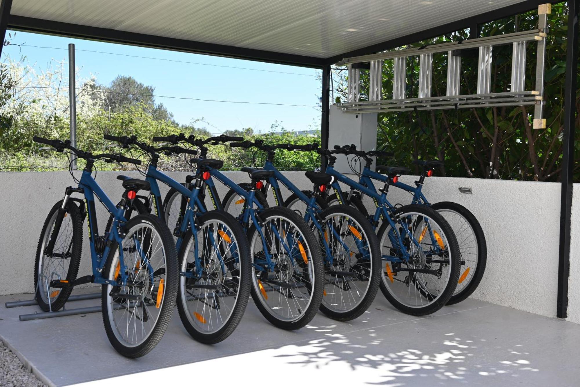 Villa Suncica With Heated Pool, Jacuzzi And Bikes Near Zadar Сукошан Екстер'єр фото